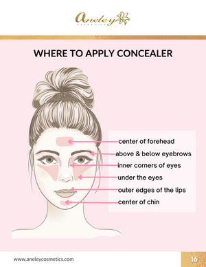 Makeup for Beginners Digital  Course