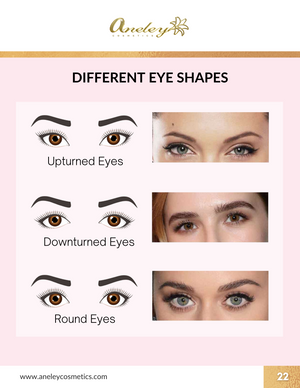 Makeup for Beginners Digital  Course