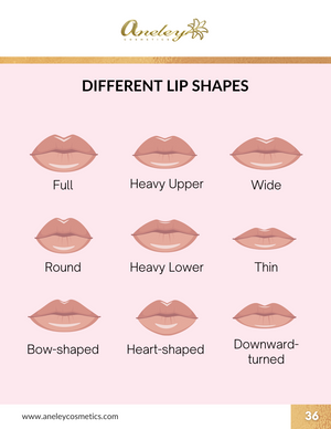 Makeup for Beginners Digital  Course