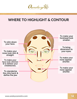 Makeup for Beginners Digital  Course