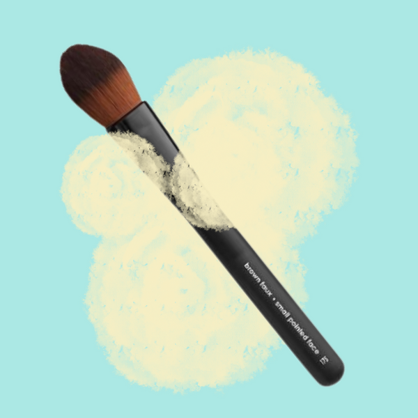 https://aneleycosmetics.com/cdn/shop/products/blushbrush_grande.png?v=1629493139