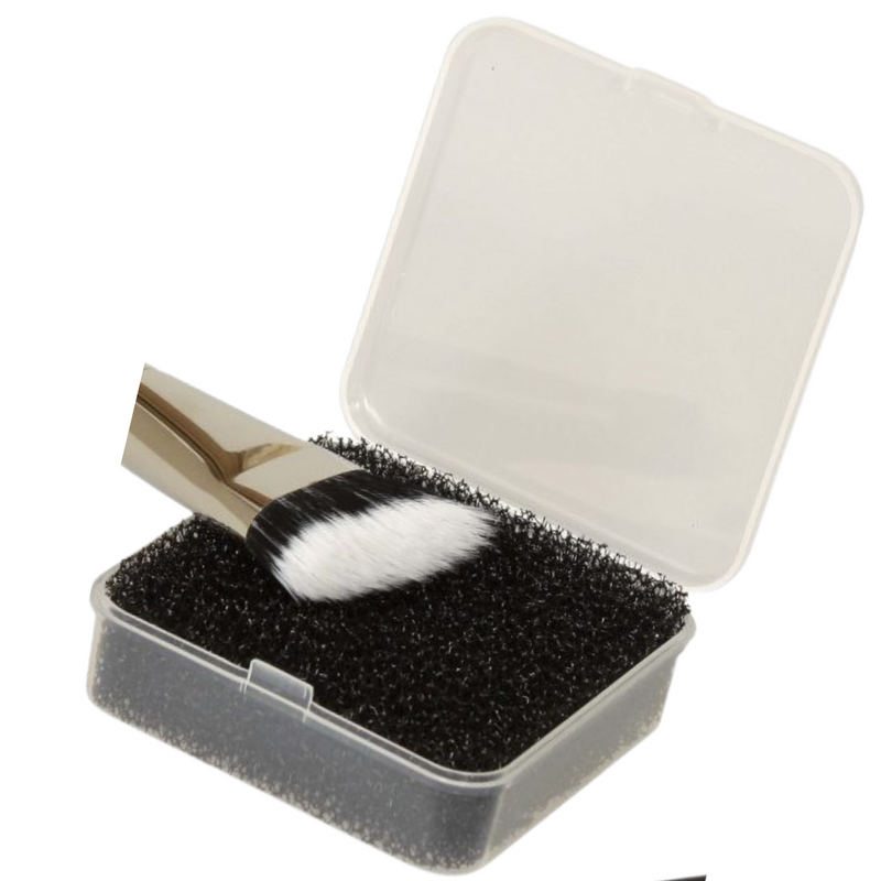 Color Change Sponge Color Changing Sponge by Aneley Cosmetics